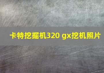 卡特挖掘机320 gx挖机照片